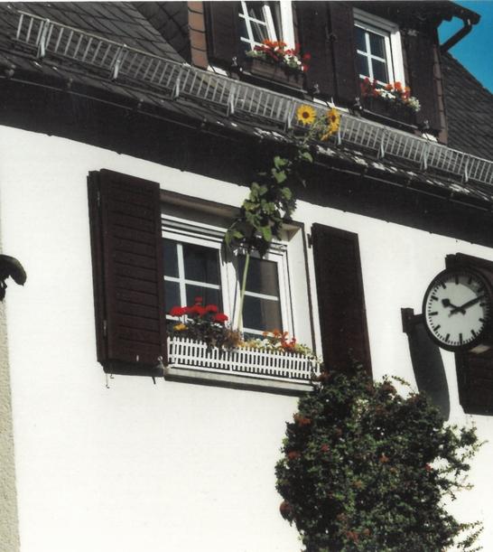 Postgrill Maria Hofheinz